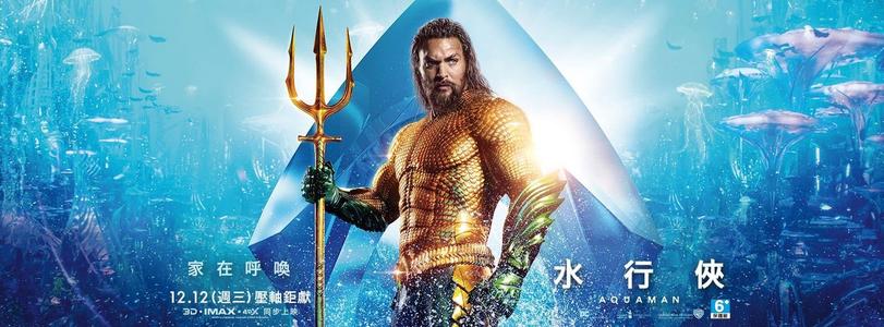维戈大学学士证书